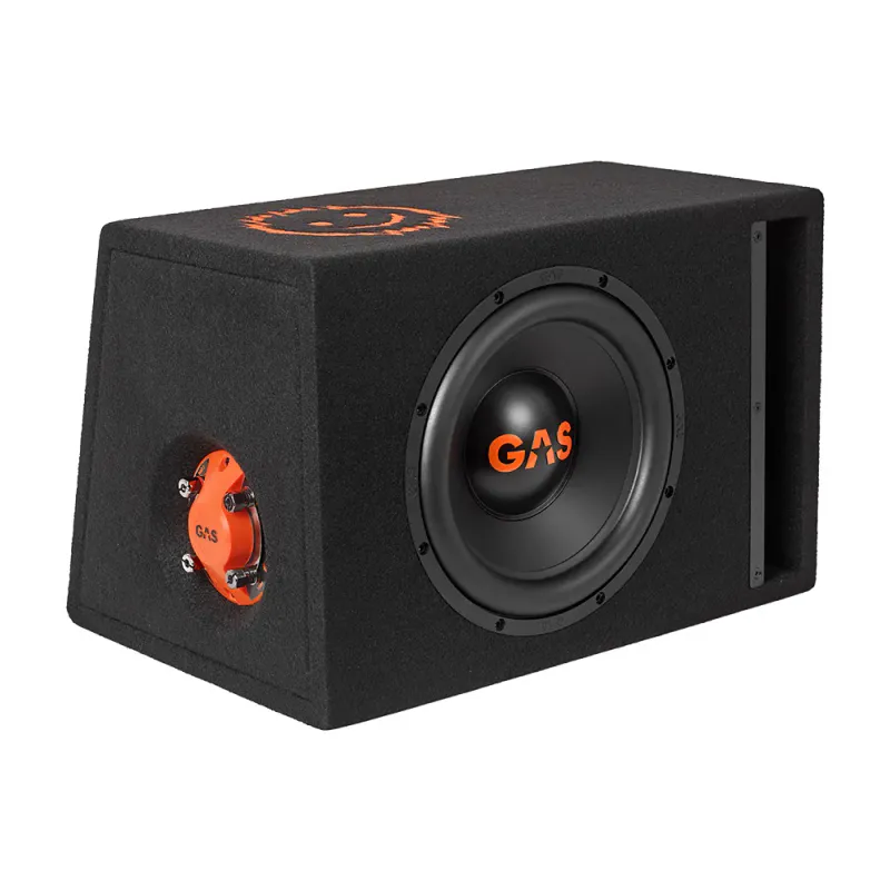GAS MAD B2-110V  GAS MAD B2, 10``,300W RMS, 2x2 Ohm